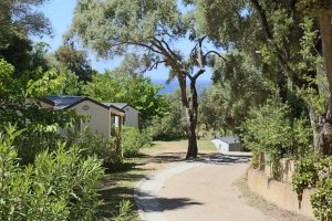 Camping L'esplanade : Allée mobil-homes - Camping Propriano