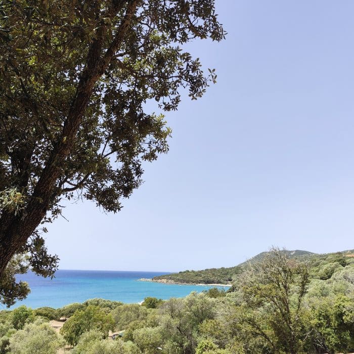 Vue depuis le camping Propriano - Camping l'Esplanade