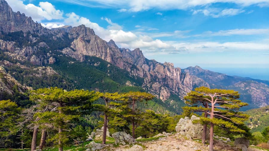Aiguilles de Bavella - Corsicaanse bergen - Camping Zuid-Corsica L’Esplanade