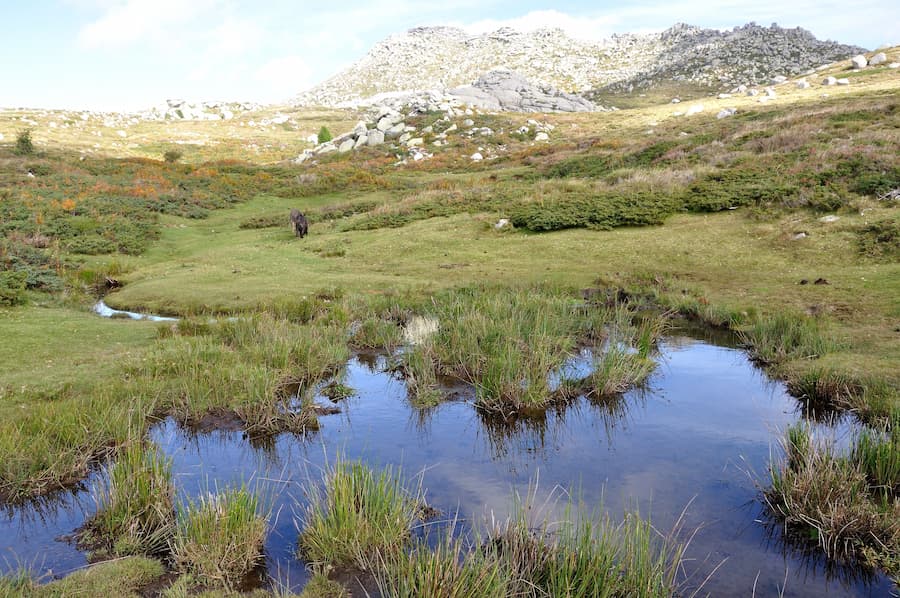 Plateau van Cuscione - Corsicaanse bergen - Camping Zuid-Corsica L’Esplanade