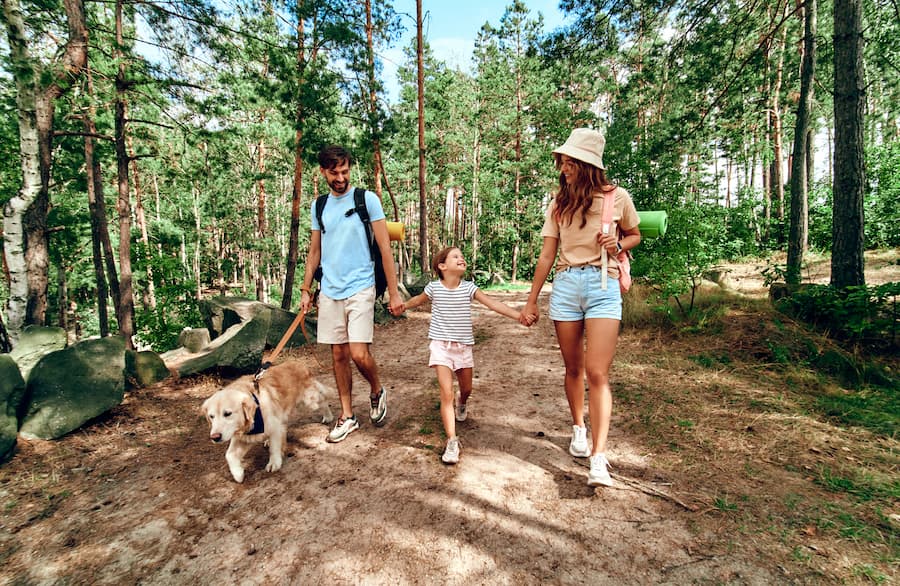 Camping mit Hund auf Korsika