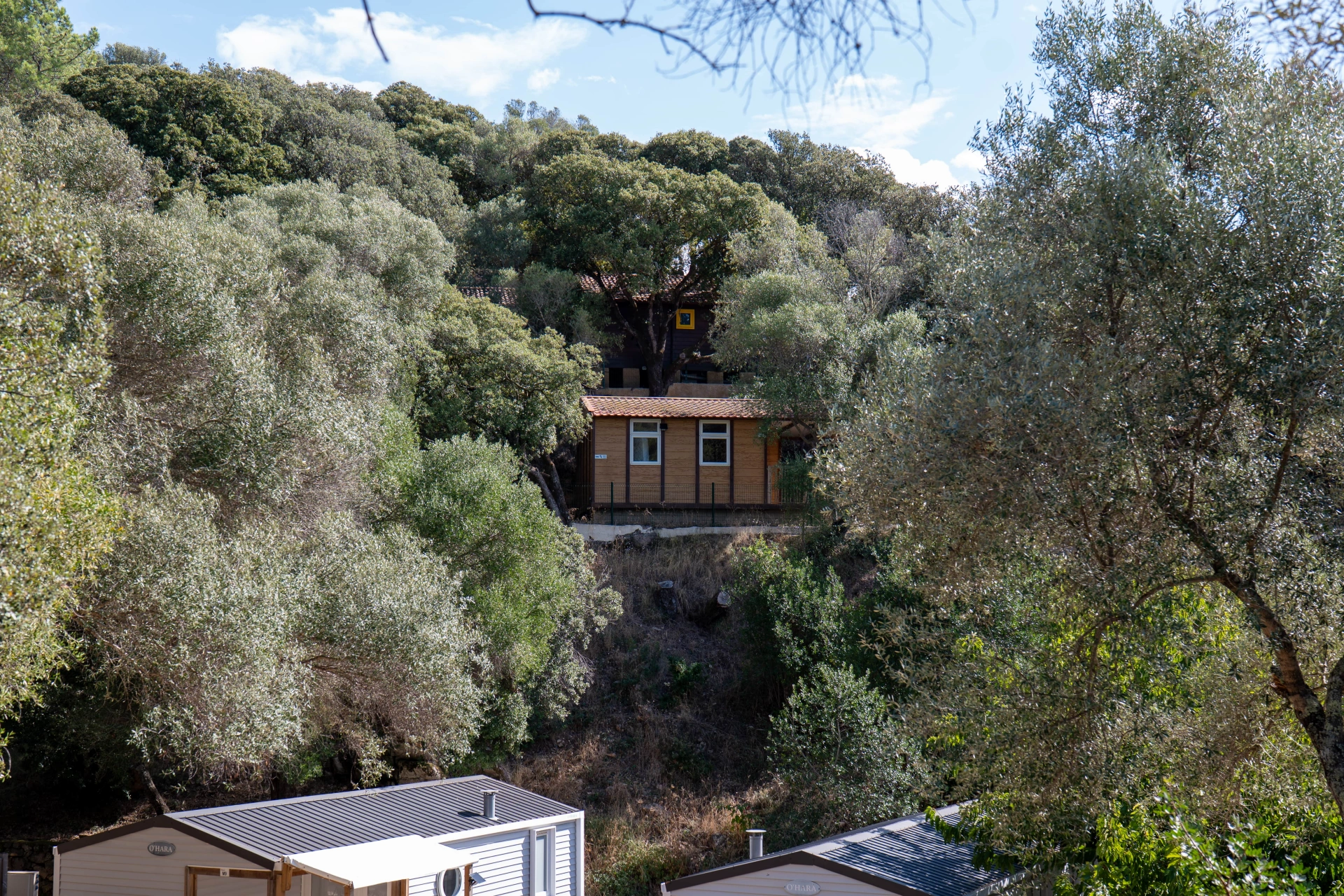 Camping L'esplanade : P1070944 Min