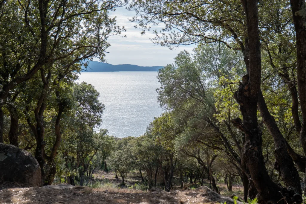 Camping L'esplanade : P1070964 Min