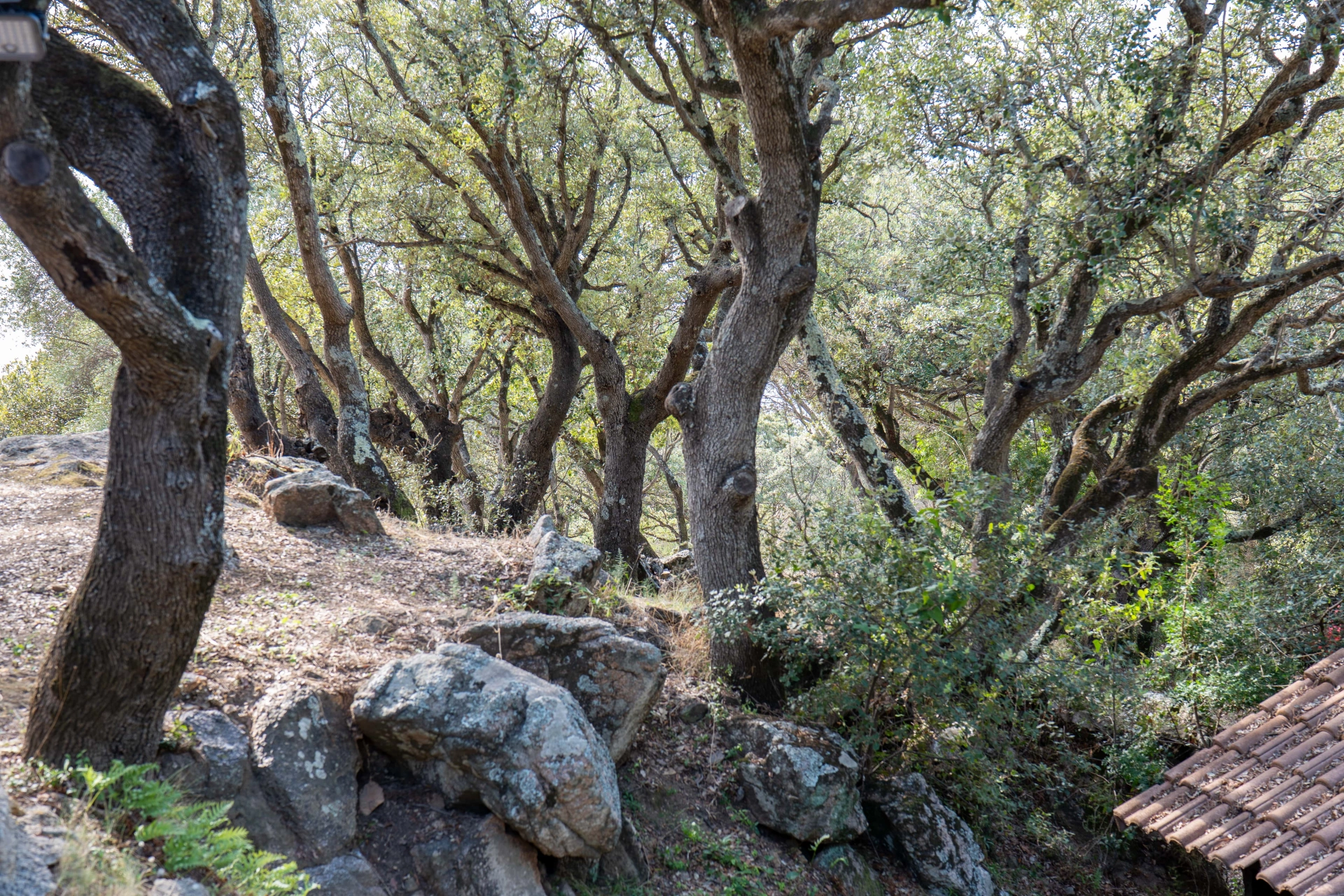 Camping L'esplanade : P1070968 Min