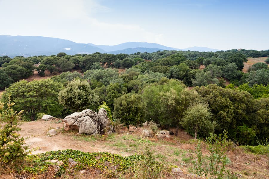 panorama site prehistorique filitosa - camping corse-du-sud